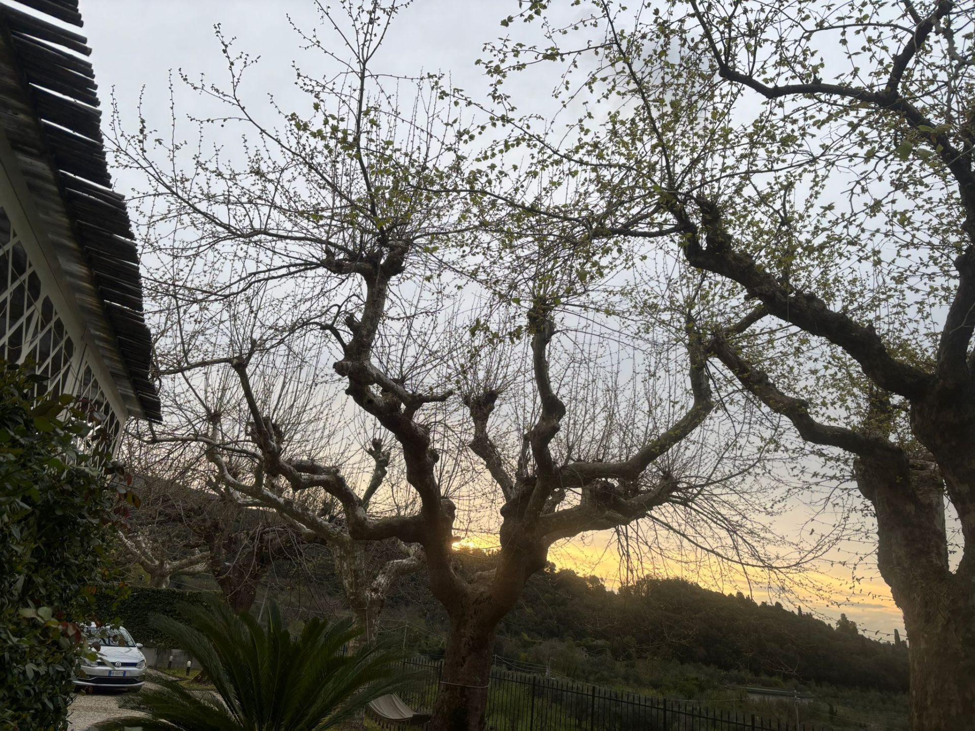 La corte della fattoria al tramonto